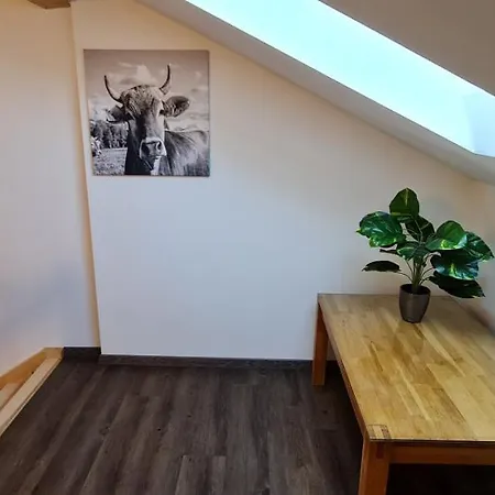 Schone Ferienwohnung In Апартаменты Марктобердорф